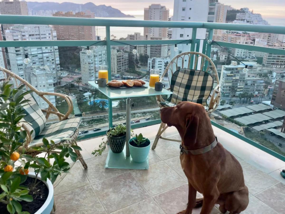 Traveler'S Beach Apartment With Sea View, Free Coffee & Parking Benidorm Buitenkant foto